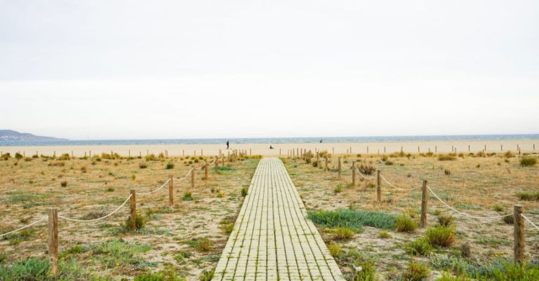 Post-Workout - A walkway leading to the beach with grass and sand