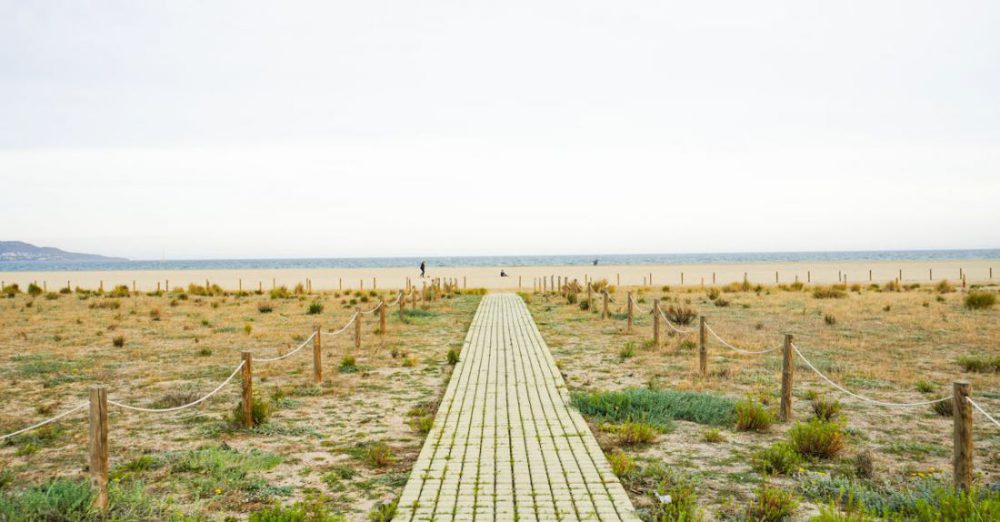 Post-Workout - A walkway leading to the beach with grass and sand