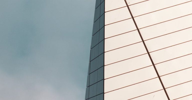 Omega-3 - Modern Skyscraper On a Blue Sky