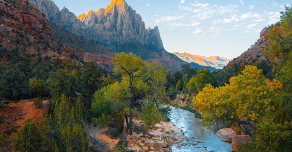 How Does Nature Reduce Stress